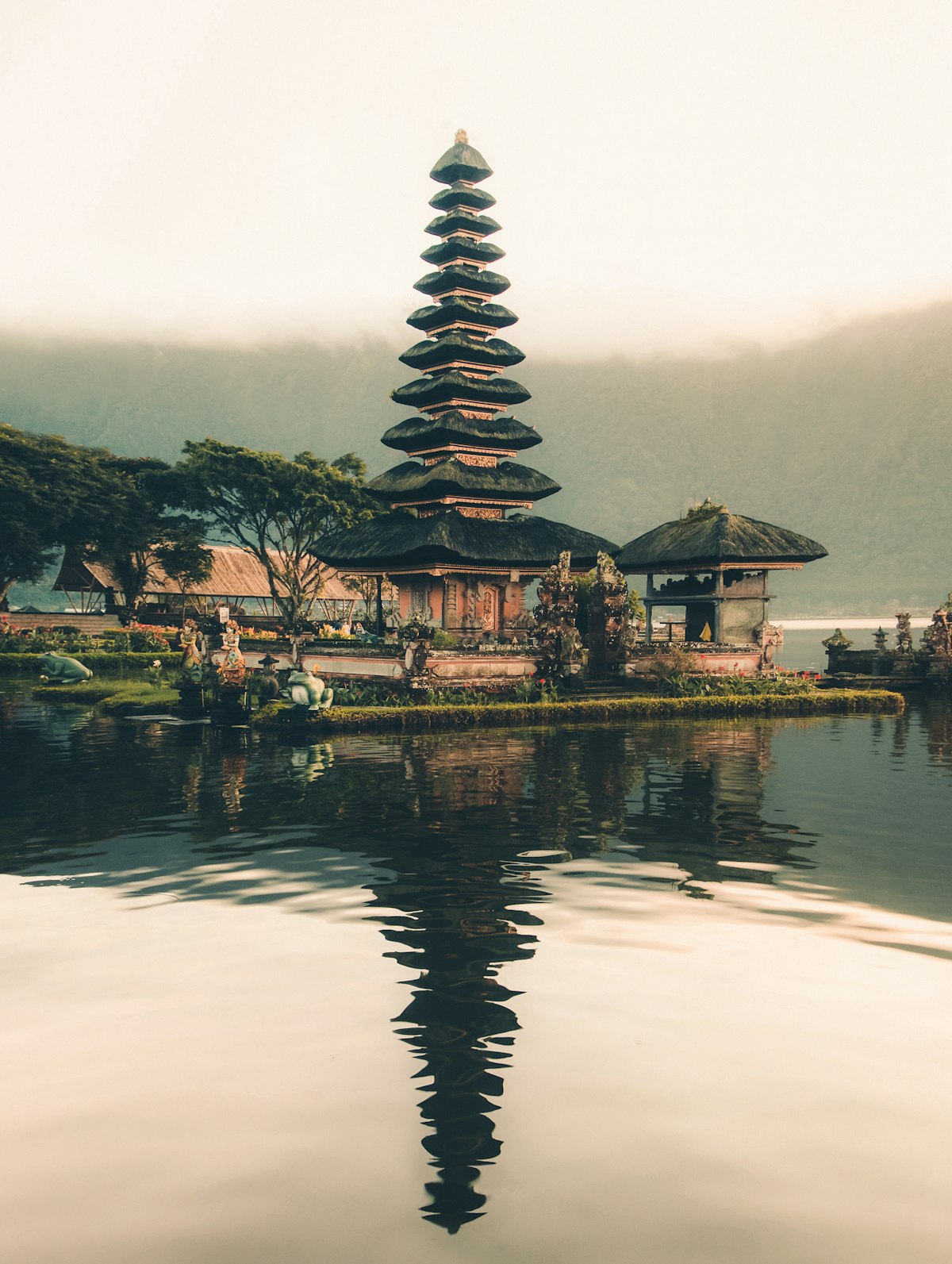 Lush green rice terraces in Bali at sunrise
